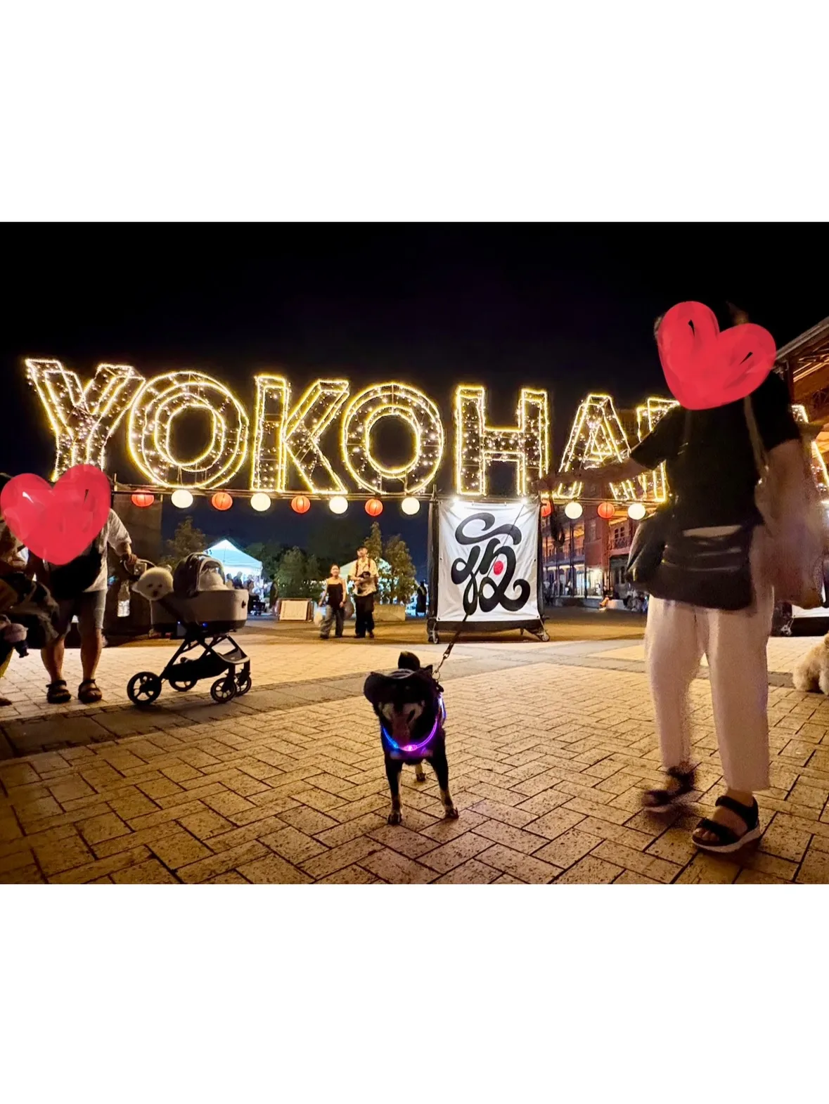 【犬夜市行ってきました🏮✨】