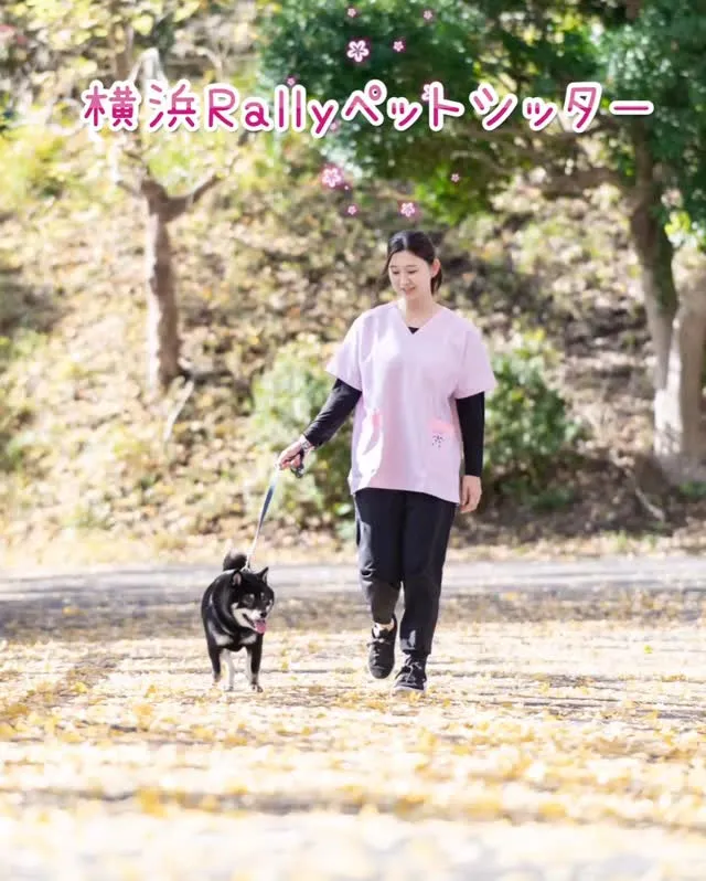 【横浜エリア】シッティング風景ご紹介