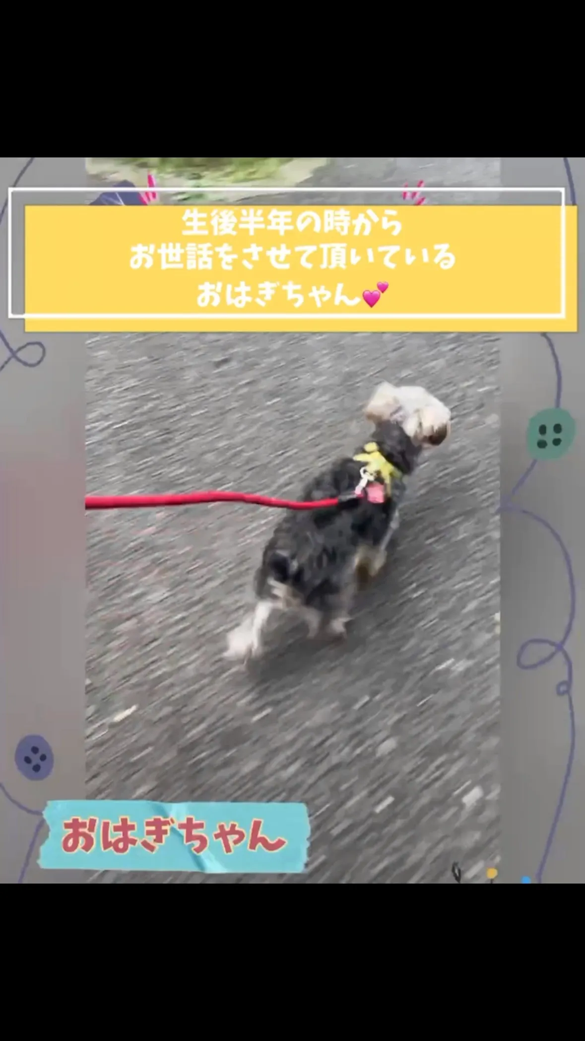 【港北区】生後半年からのご成長に感動🥹